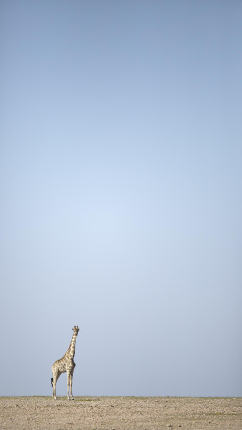 VCG41N655718162 screenshot