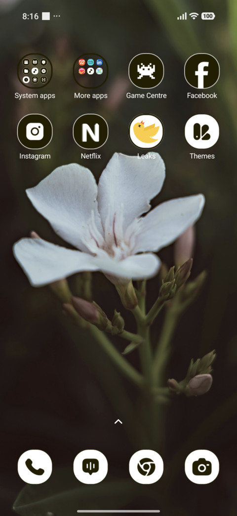 Ivory Blossom screenshot