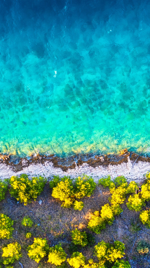 Summer by the Seaside screenshot