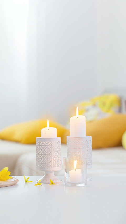 Spring Flowers in Vase on Modern Interior screenshot