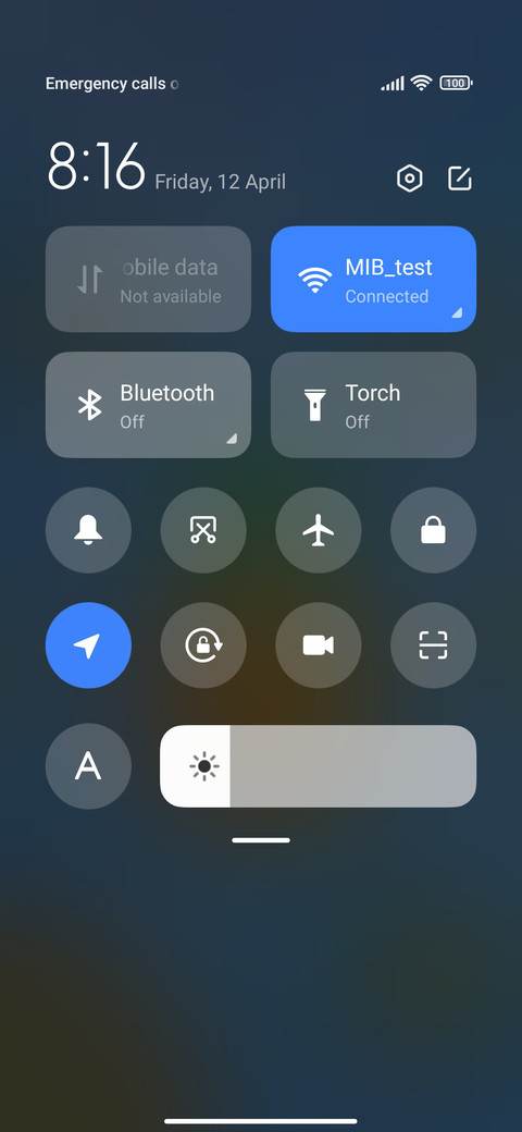 Pineappley screenshot