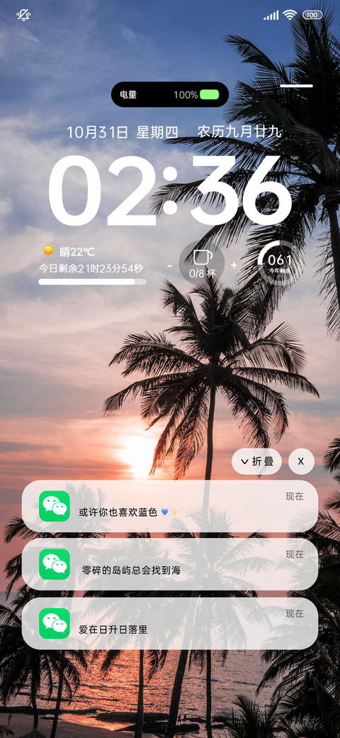 简约椰林 橘色日落 screenshot