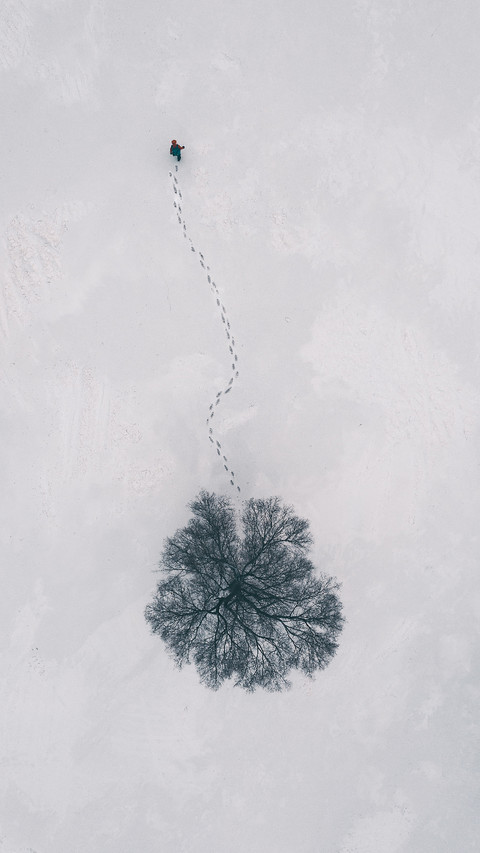 雪的冷知识 你知道多少？ screenshot
