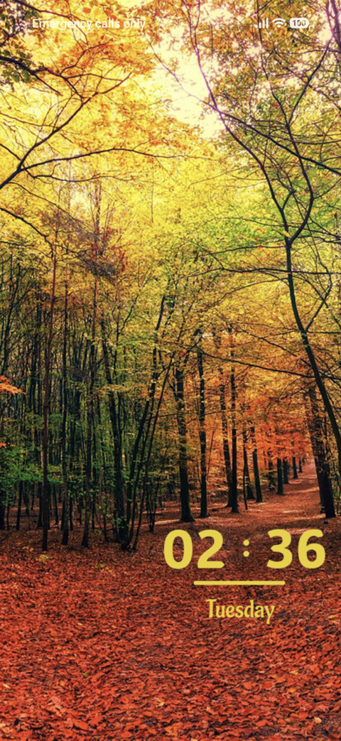 Autumn Way screenshot