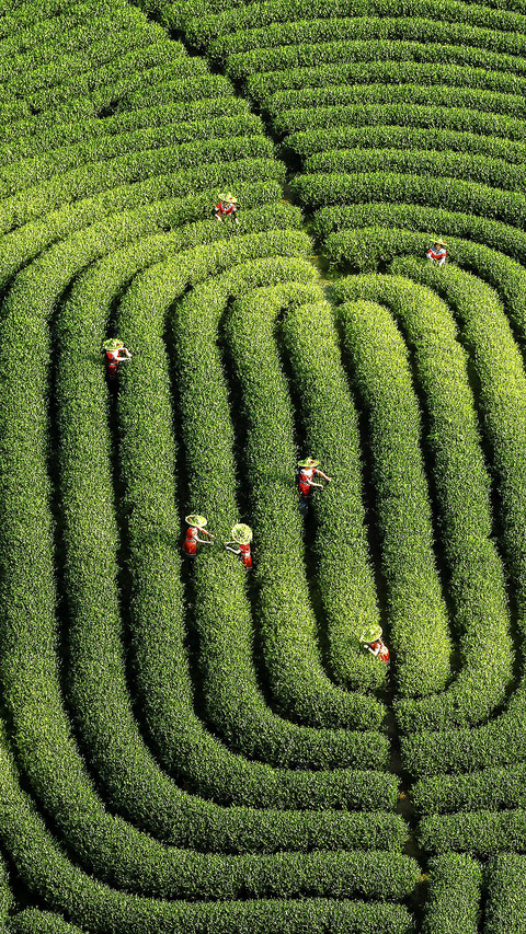 Let financial services revitalize the countryside 16 screenshot