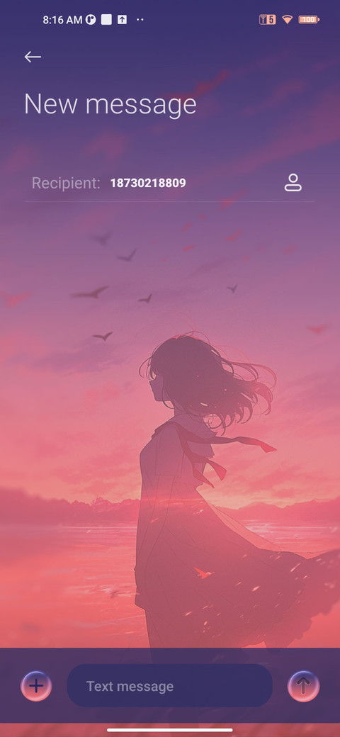 At The Sunset screenshot