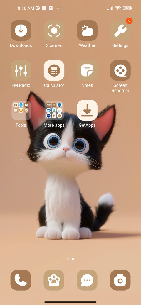 Devon cat screenshot