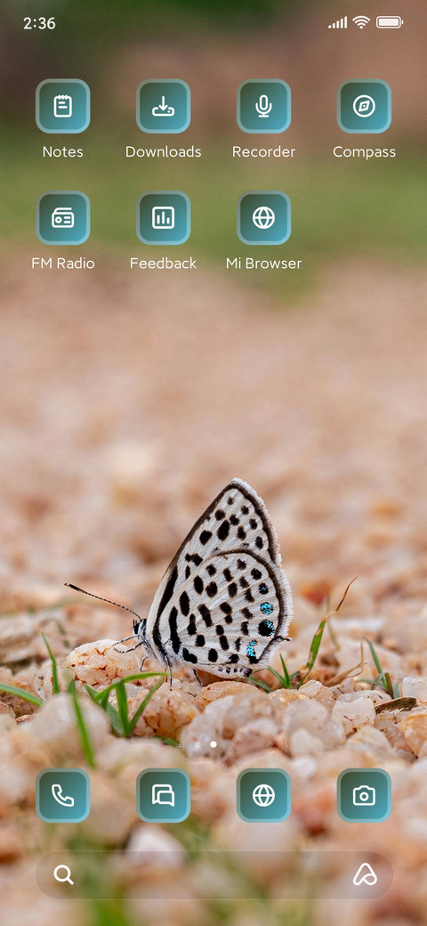 Colorful Butterfly screenshot