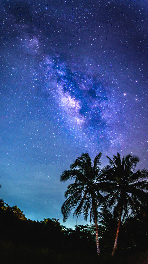 漫步星空-拍信图库 screenshot