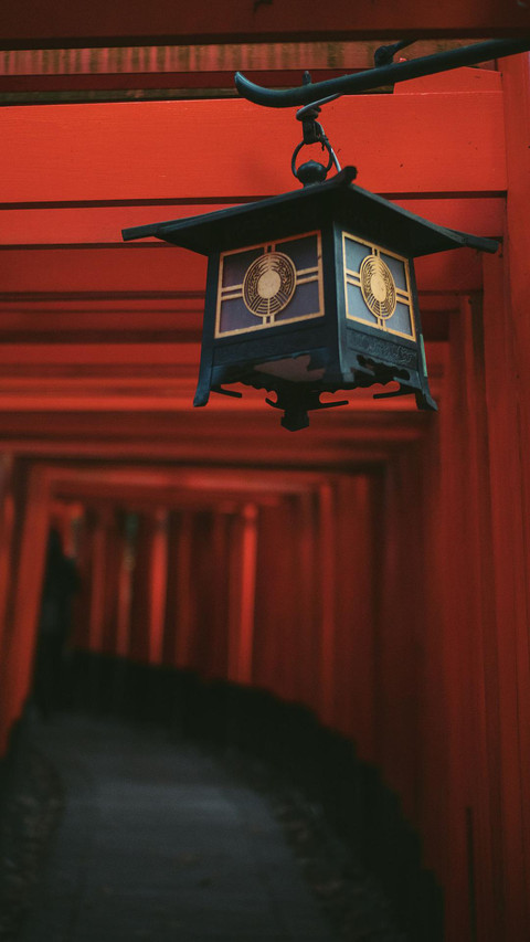 灯笼的美 screenshot