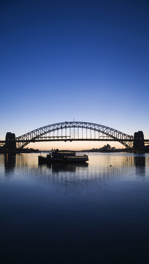 Selected Sydney Harbour Bridge 96 screenshot
