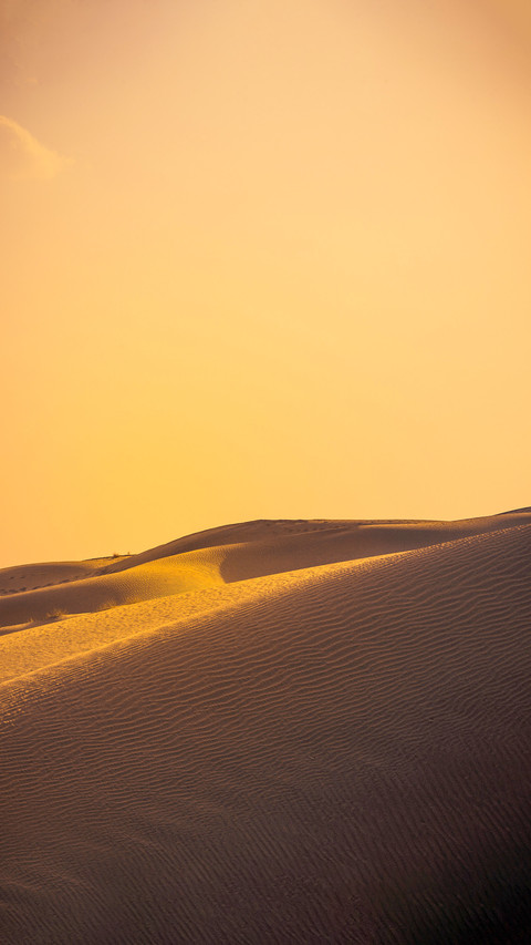 Sand dune during sunset with silhouette screenshot