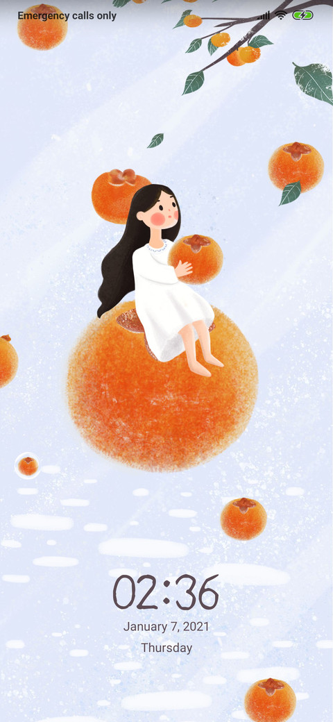 Persimmon Girl screenshot