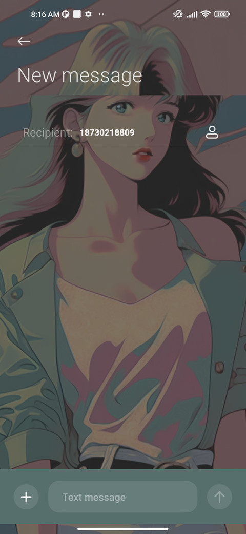 Vintage Princess screenshot