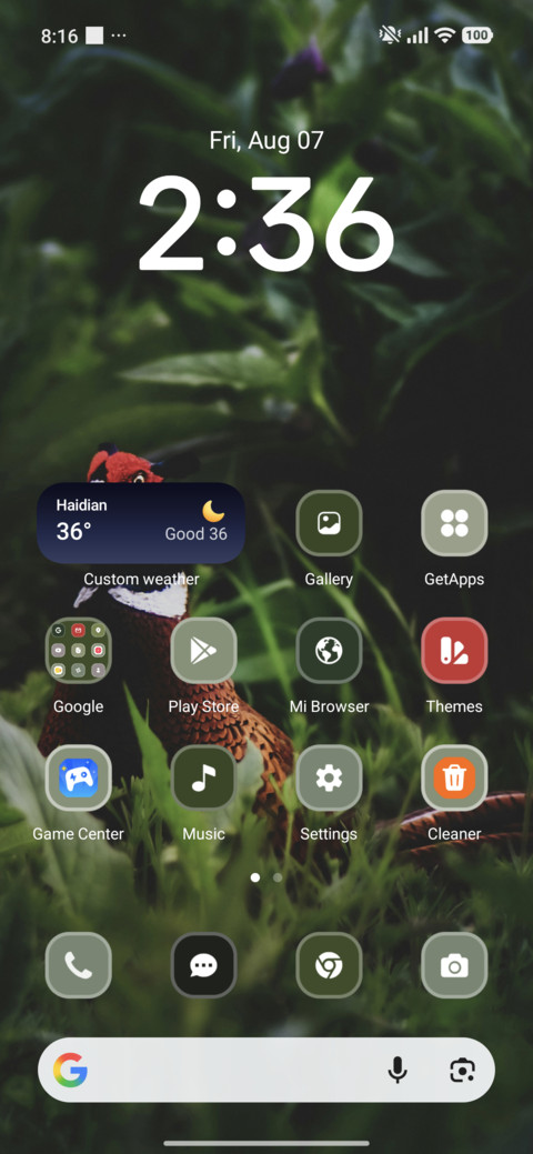 Pheasant screenshot