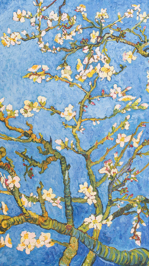 Blossoming Almond Tree, Beautiful Oil Painting on Canvas screenshot