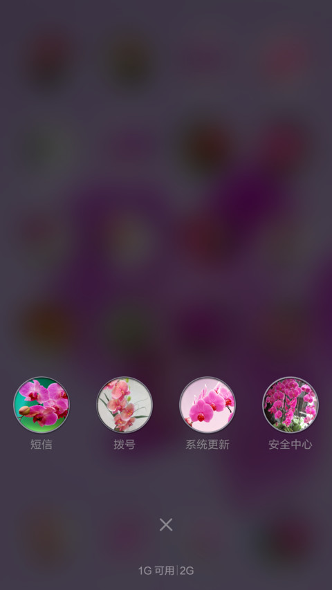 蝴蝶兰【全图标覆盖+高清壁纸】 screenshot