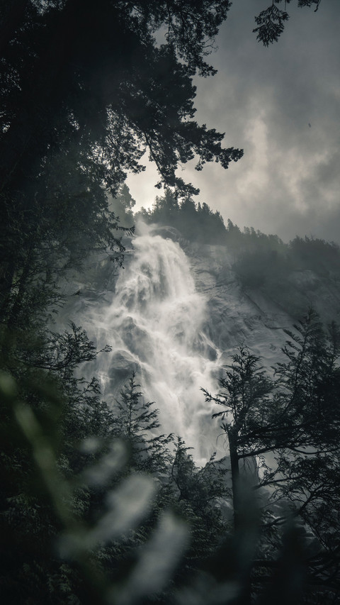 133909_1440x2560.jpg screenshot