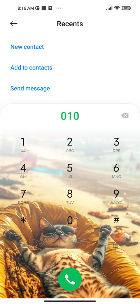 Beach cat screenshot