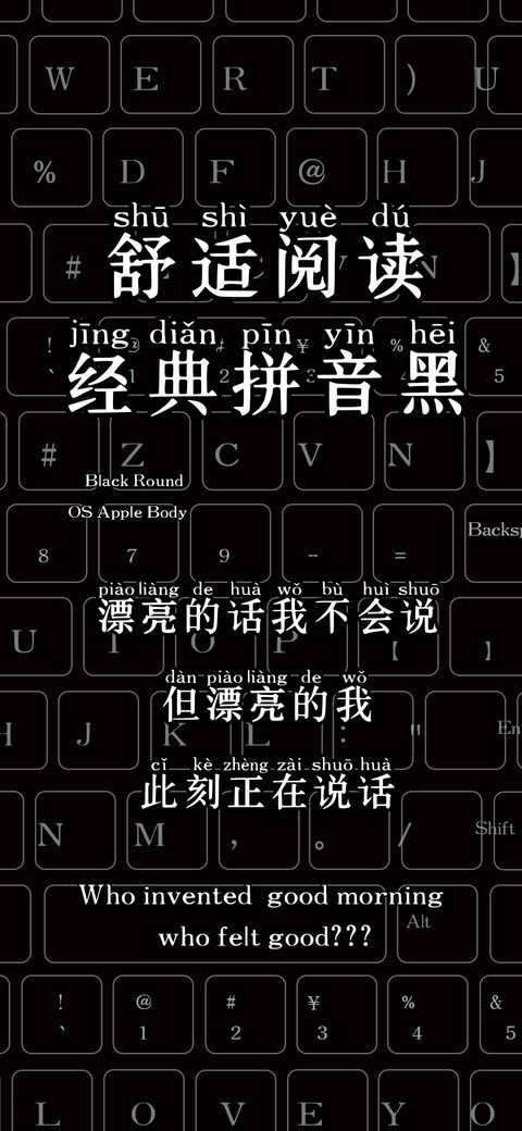 舒适阅读经典拼音黑 screenshot