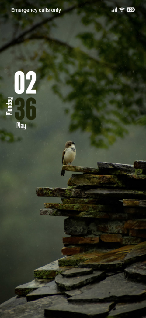 Small Bird screenshot
