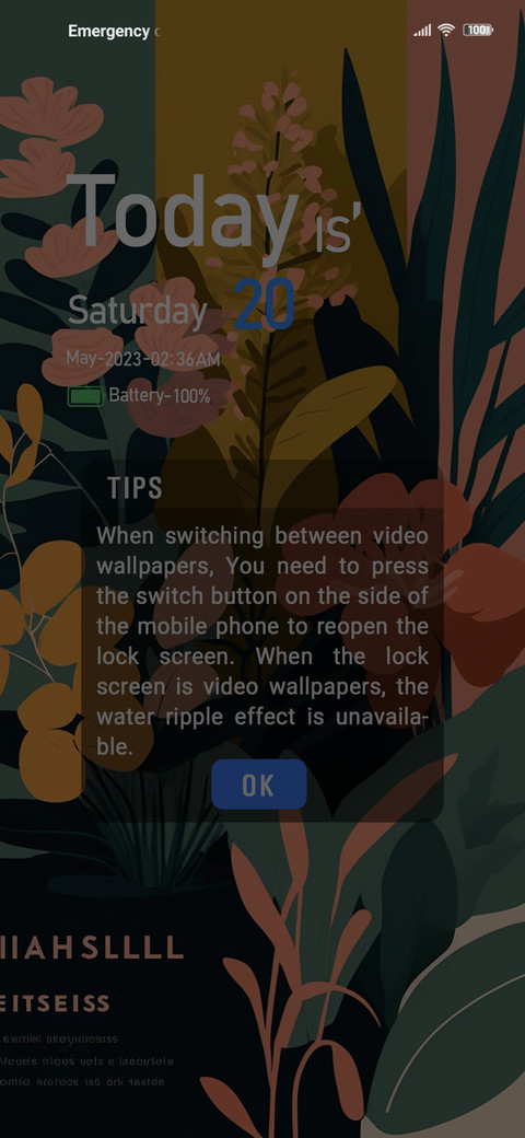 flowers fruits screenshot