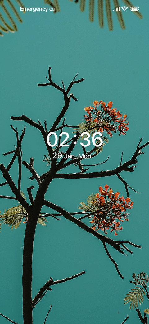 Small twig screenshot