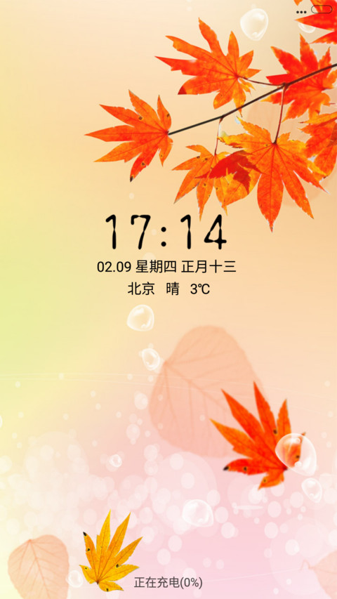 红枫叶 screenshot