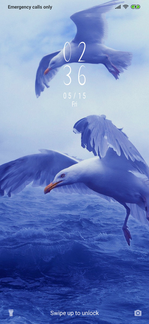 Seagulls_3MDS screenshot