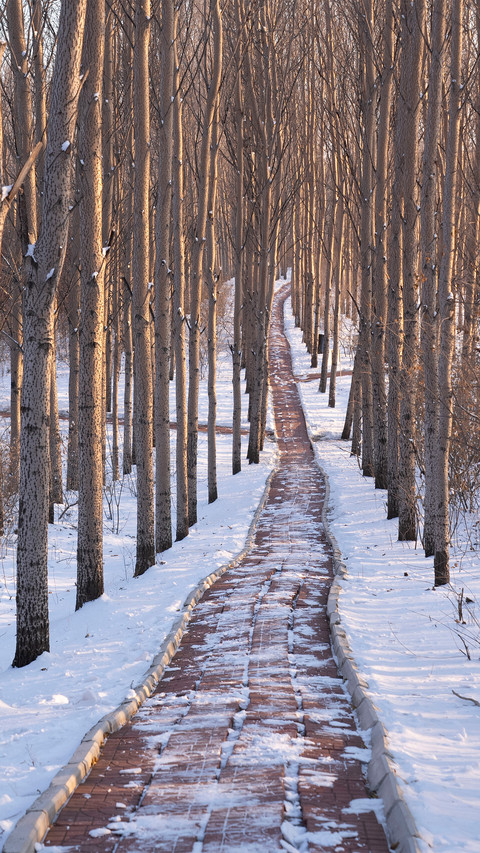 The snow scene of the songhua river screenshot