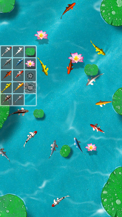 锦鲤小鱼 screenshot