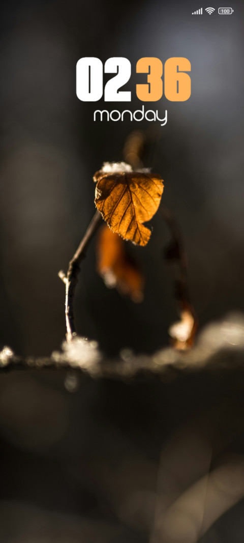 Leaf Veins screenshot