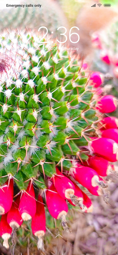 Modified Cactus_DWM3 screenshot
