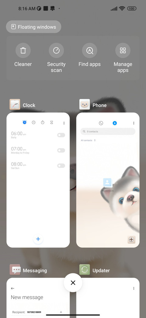 Cute husky screenshot