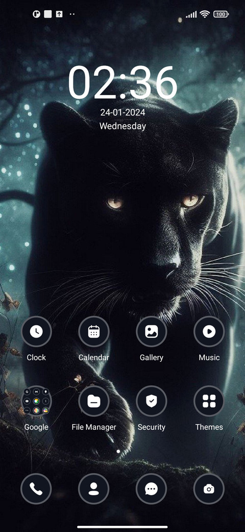 Black Panther screenshot