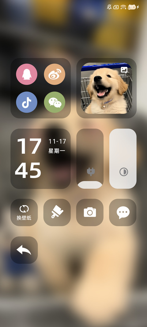 ins治愈购物金毛 screenshot