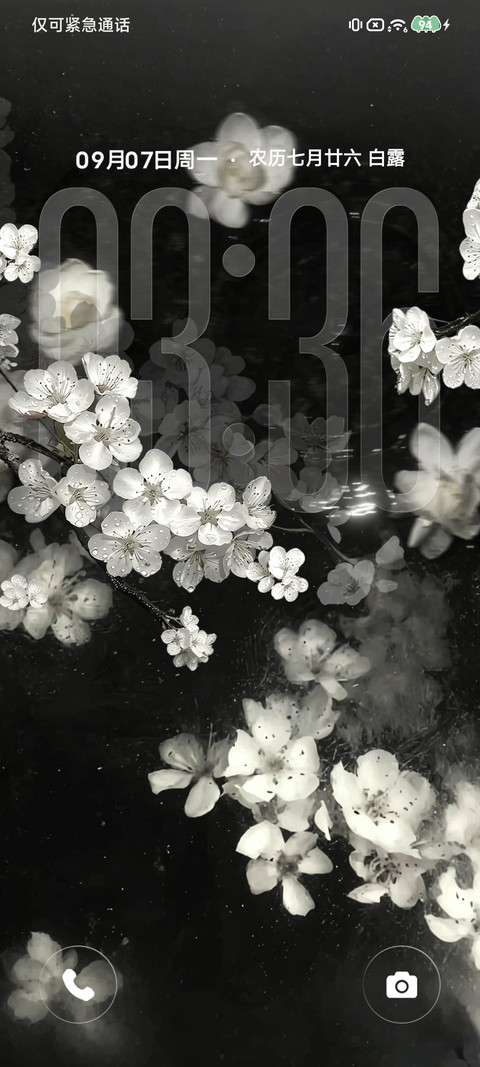 景深重感 夜涧白花 screenshot