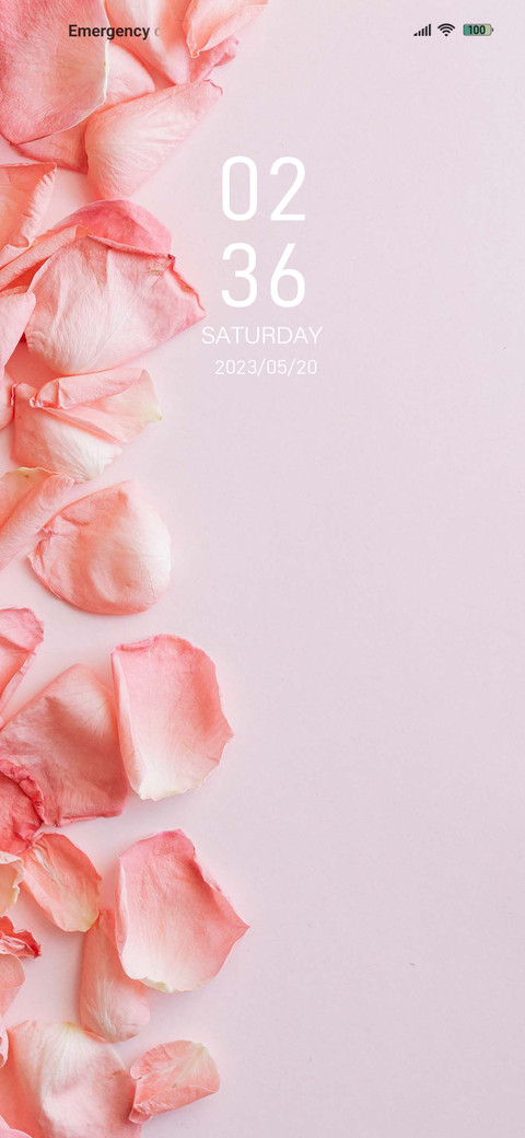 Literary flower screenshot