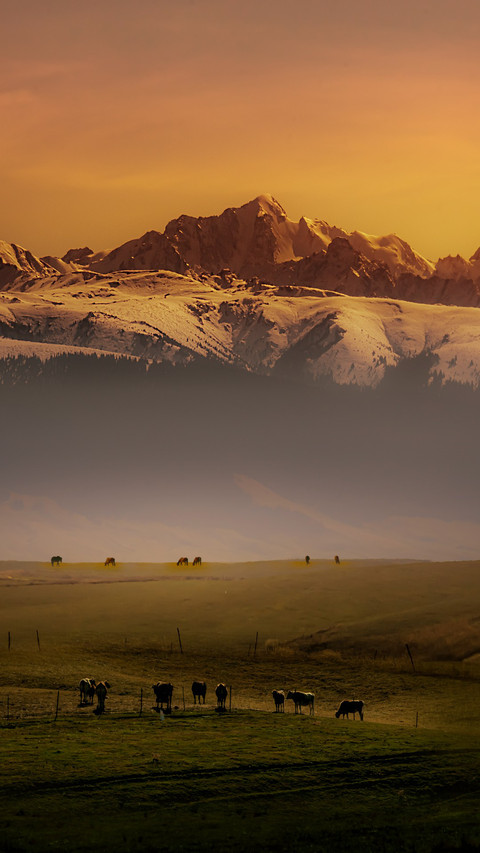 Cloud shadows among Tian Mountains pasture screenshot