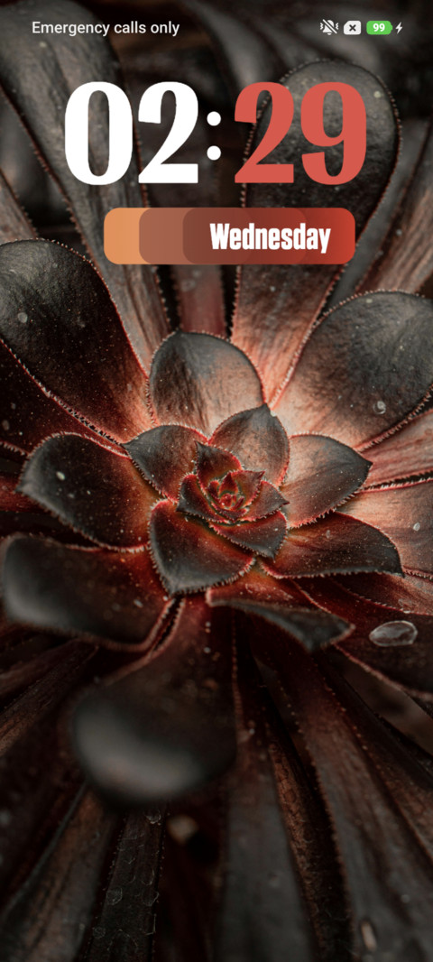 Petals screenshot