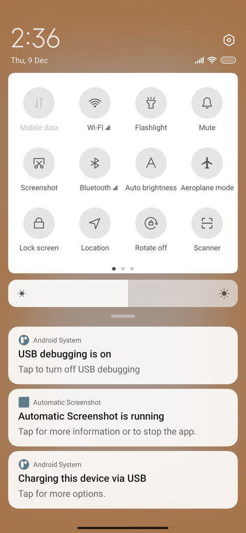 Big Orange screenshot