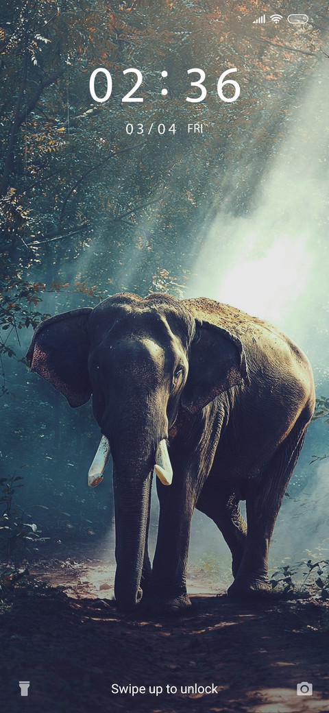 Elephant Pride screenshot