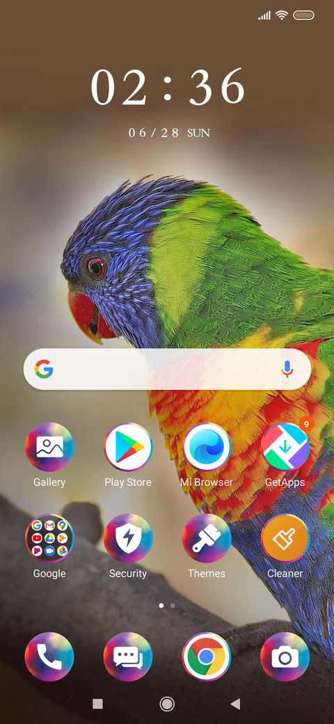 RainbowLorikeet_3MDS screenshot