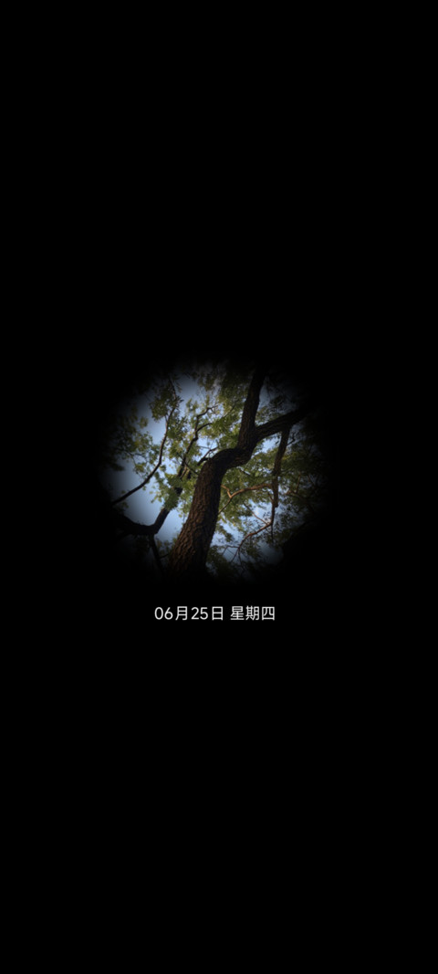 树影里的信 screenshot