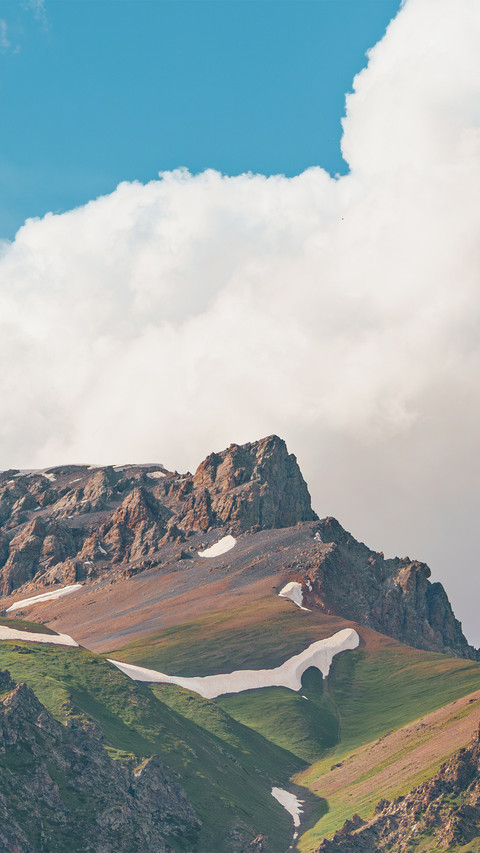 Summer wilderness screenshot