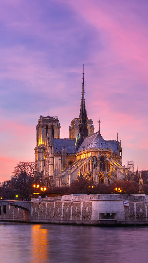 The historical value of Notre Dame de Paris 80 screenshot