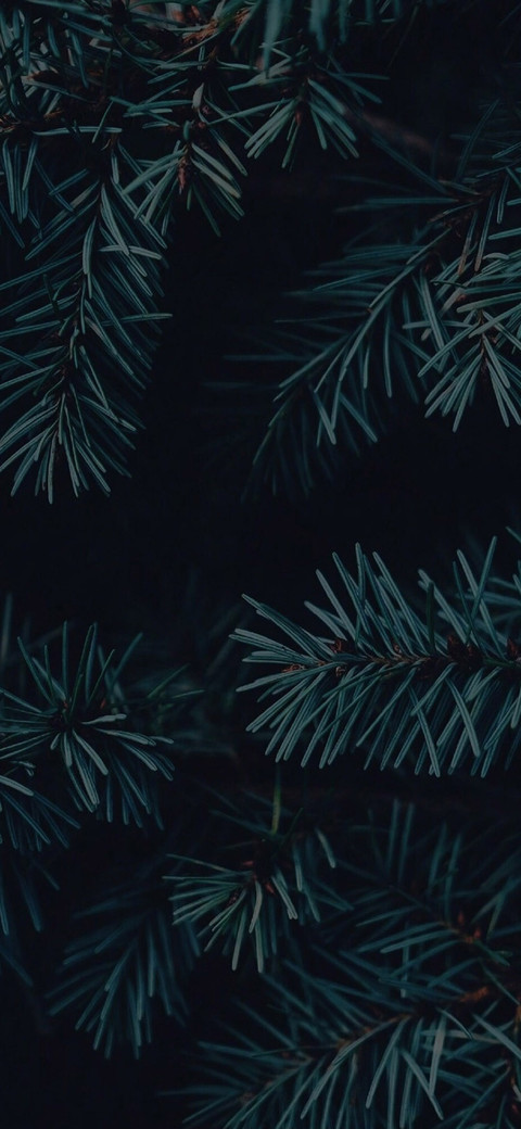 暗青 screenshot