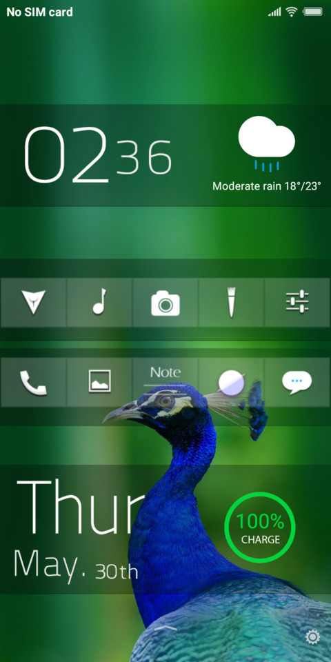 National Bird_DWM19 screenshot