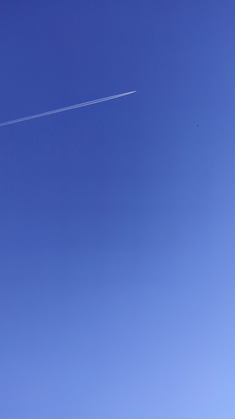 landing-1396 screenshot