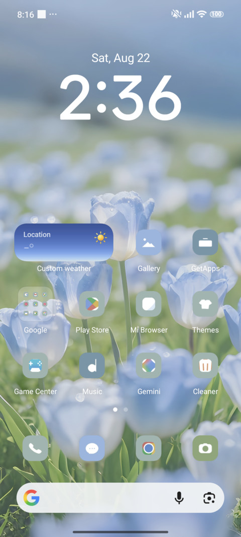 Flower Transparent screenshot
